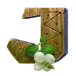 icon 12