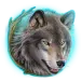 icon 5