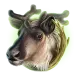 icon 4