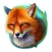 icon 6