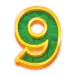 icon 13