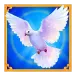 icon 4