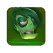 icon 5