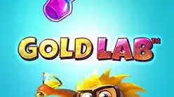 Gold Lab
