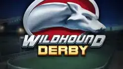 Wildhound Derby