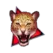icon 2