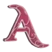icon 5