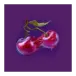 icon 9
