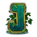 icon 9