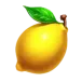 icon 9