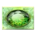 icon 5