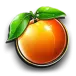 icon 6