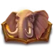 icon 4