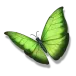 icon 5