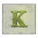 icon 11