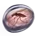 icon 10