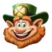 icon 1