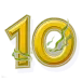 icon 10
