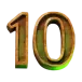 icon 10