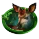 icon 4