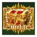 icon 12
