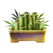 icon 4