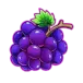 icon 5
