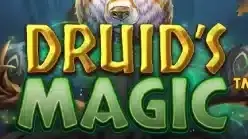 Druid’s Magic