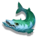 icon 4