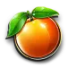 icon 7