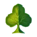 icon 10
