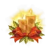 icon 5