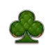 icon 10