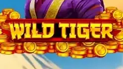 Wild Tiger