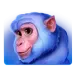 icon 3