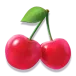 icon 9