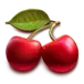 icon 5