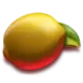 icon 4