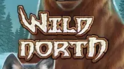 Wild North