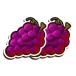 icon 4