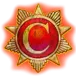 icon 11