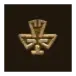 icon 11