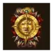 icon 12
