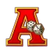 icon 5