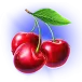 icon 6