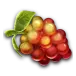 icon 5