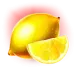 icon 5