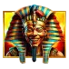 icon 11