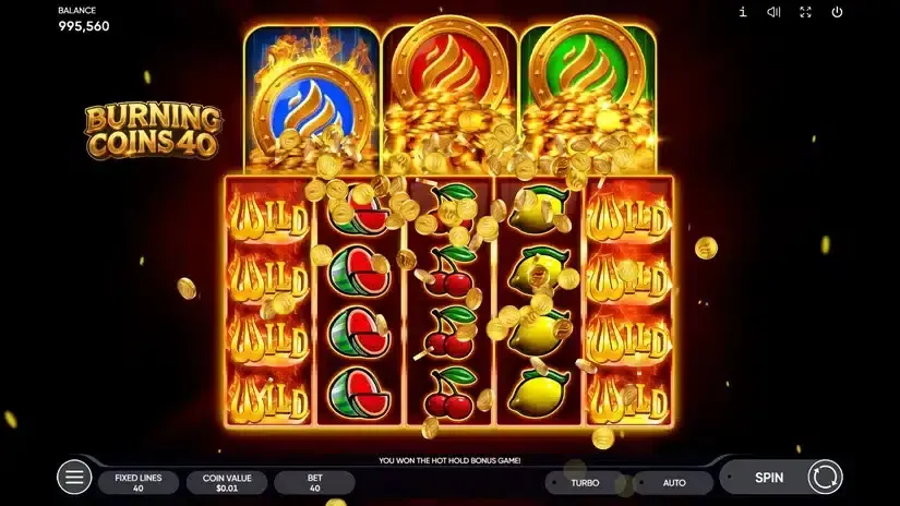 Burning Coin 40 slot screenshot 