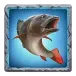 icon 5